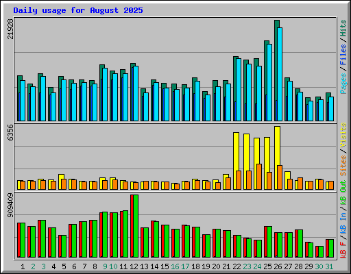Daily usage for August 2025