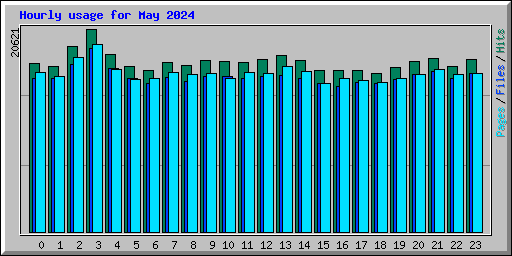 Hourly usage for May 2024