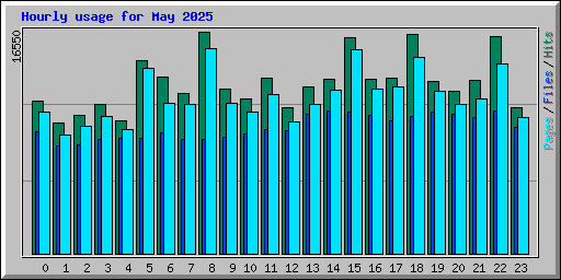 Hourly usage for May 2025