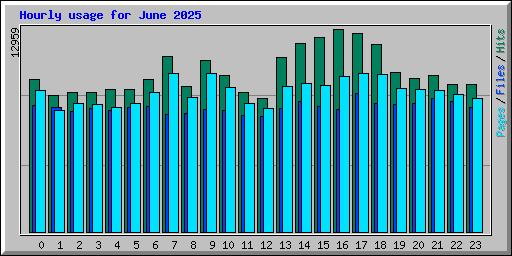 Hourly usage for June 2025
