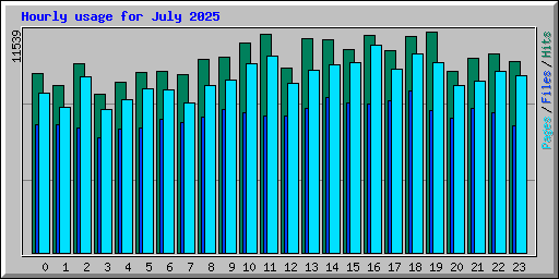 Hourly usage for July 2025
