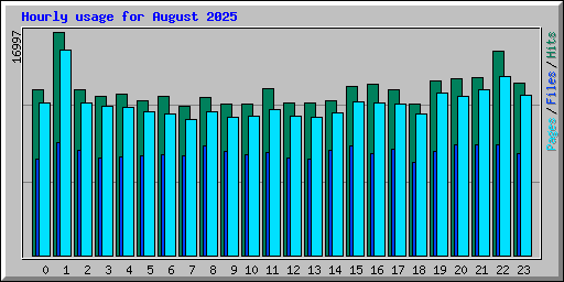 Hourly usage for August 2025