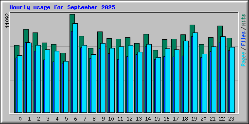 Hourly usage for September 2025