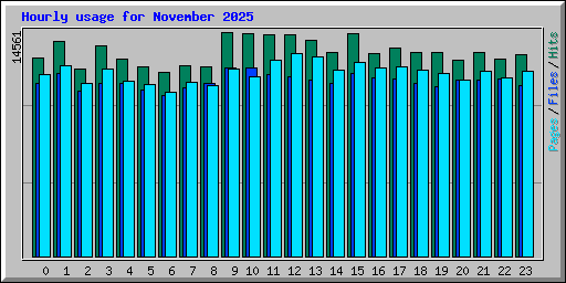 Hourly usage for November 2025
